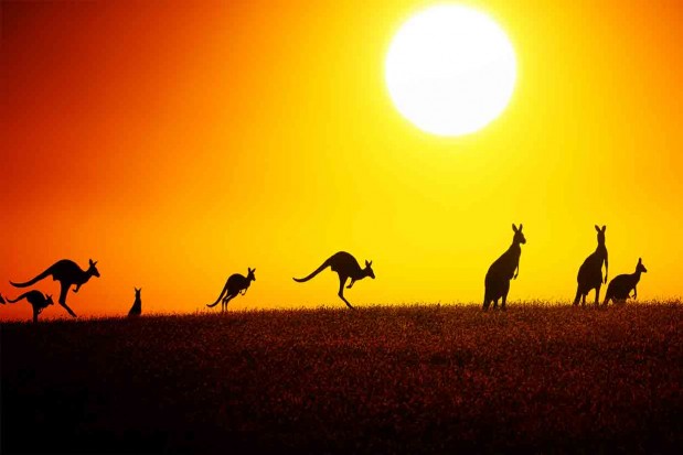Australian economic evaluate Distribution