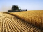 Combine harvester crop agriculture
