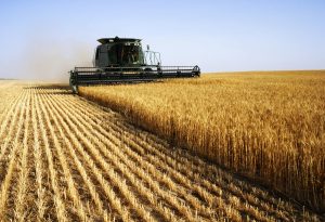 Combine harvester crop agriculture