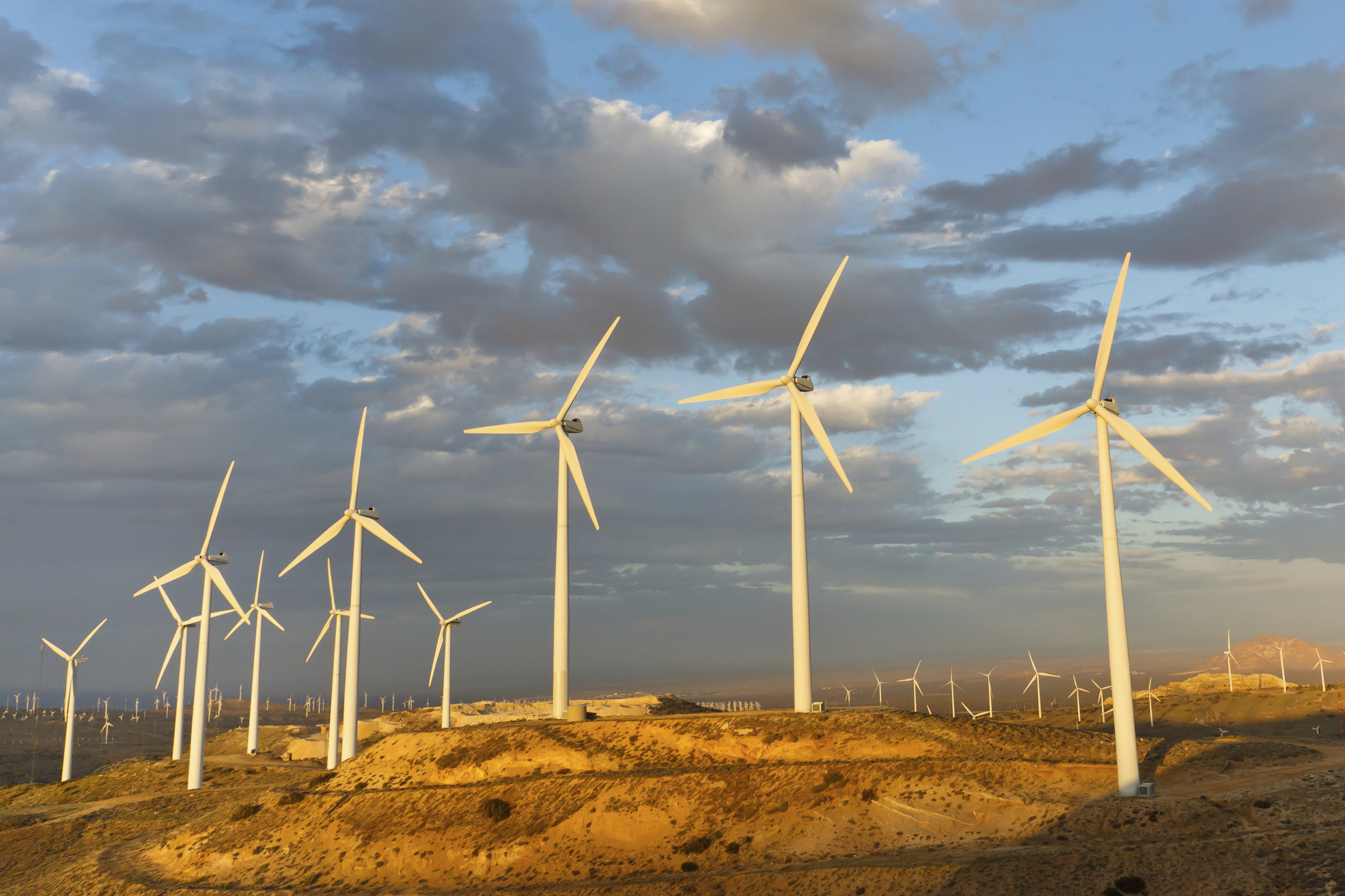 IFC and Absa ink first African green loan  | Global Trade Review (GTR) - Vimarsana News