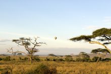 Tanzania savannah hot air balloon