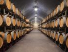 Underground wine cellar barrels