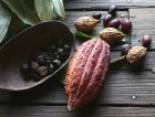 Cocoa Bean Nutmeg
