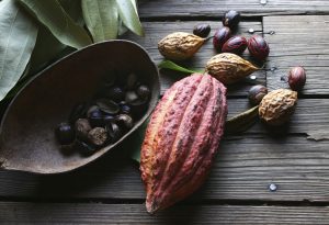 Cocoa Bean Nutmeg