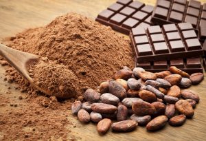 Cocoa Raw Beans Chocolate