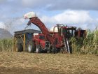 Harvester Sugar Cane Agribusiness