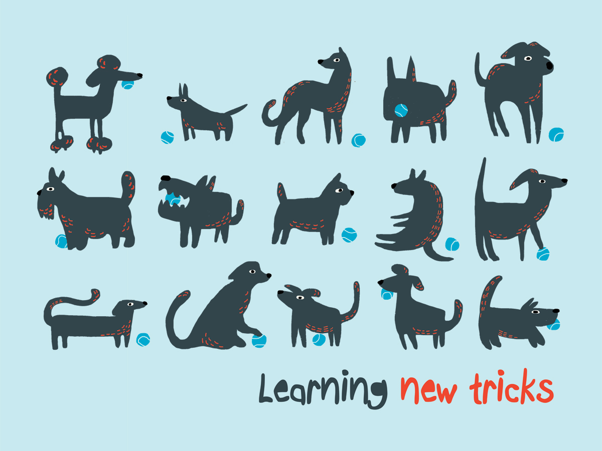 Learning-new-tricks