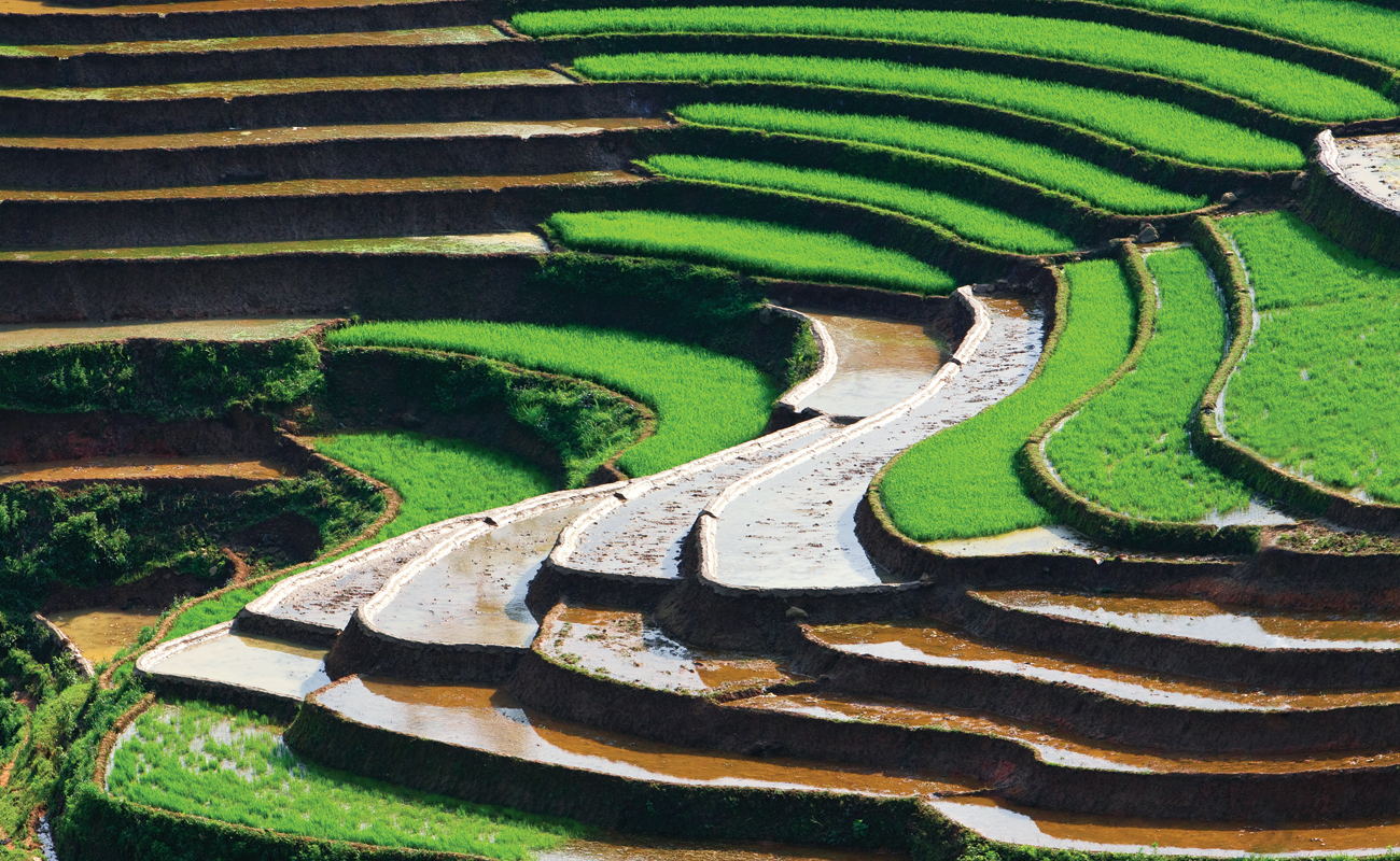 Vietnam-feature