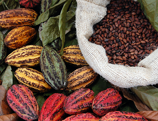 Ghana's Cocobod PXF closes US$405mn lighter