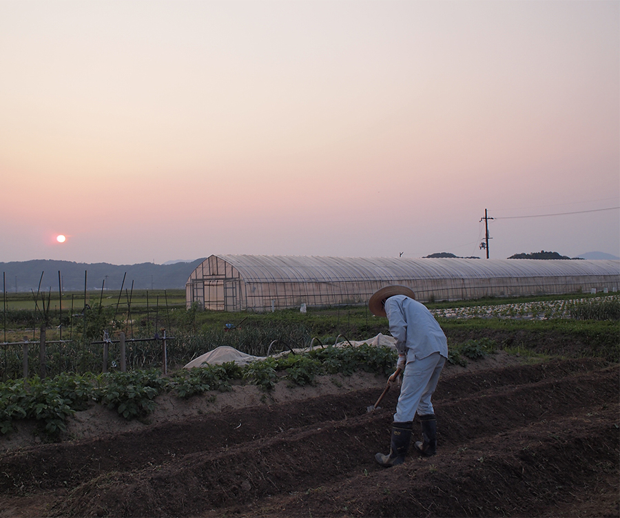 Canada S Forced Labour Import Bans Go Unenforced Global Trade Review Gtr